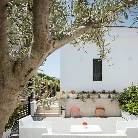 B&B Cadjla *